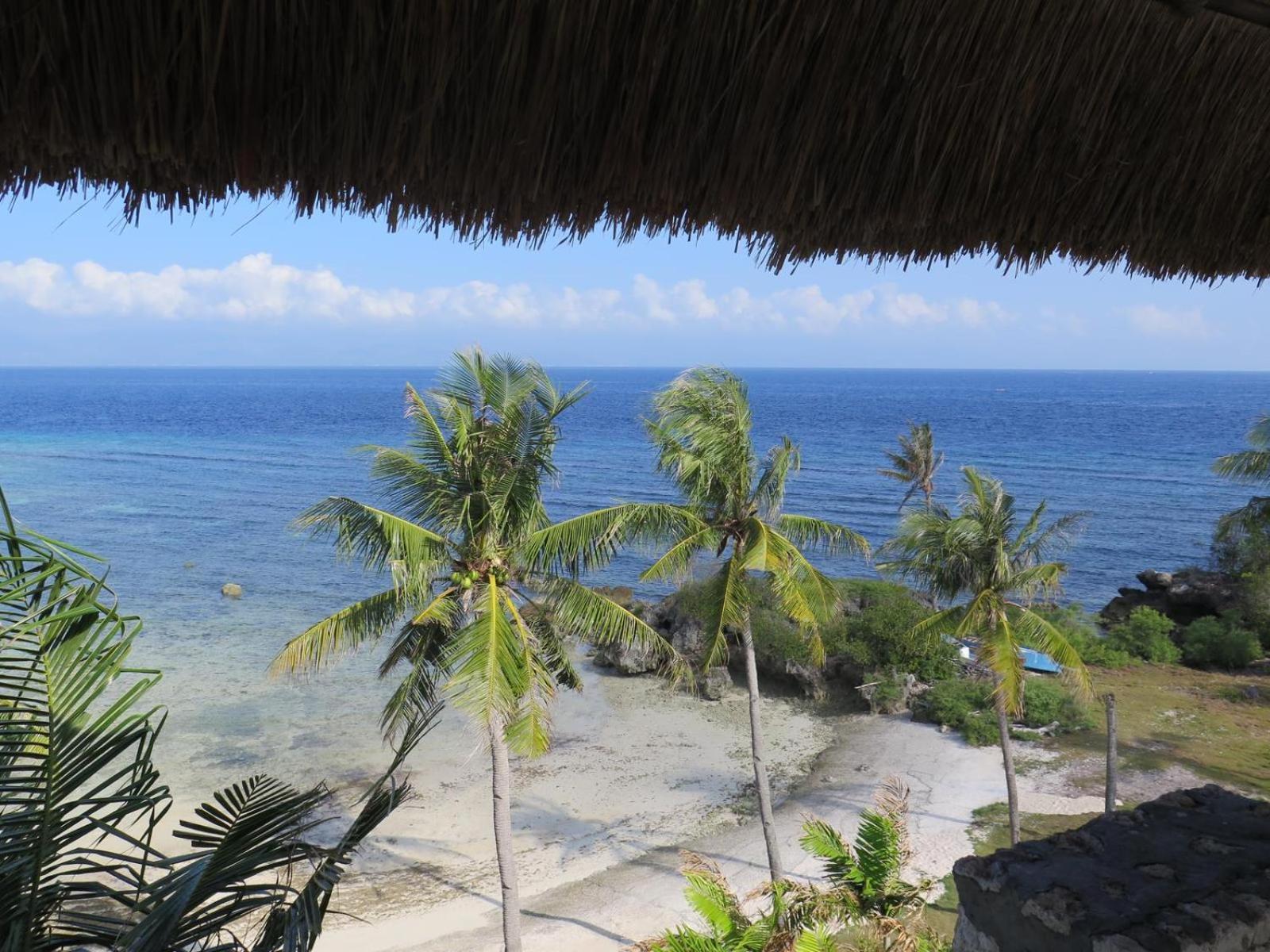 The Wild Orchid Resort - 몰볼 외부 사진