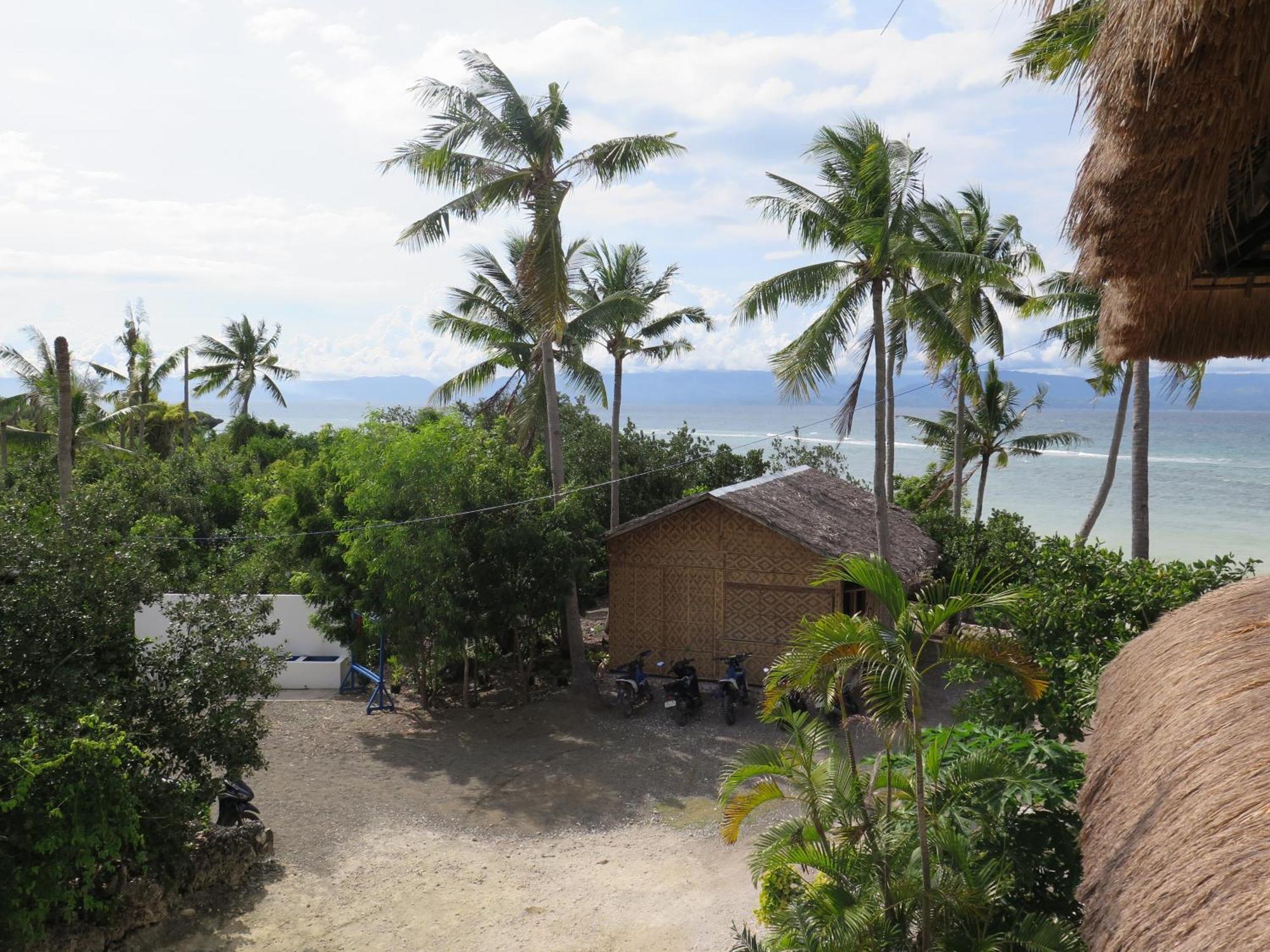 The Wild Orchid Resort - 몰볼 외부 사진